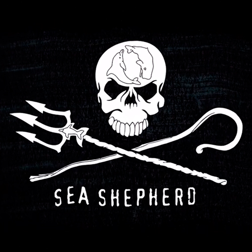 Musique et production sonore pour sea sheperd